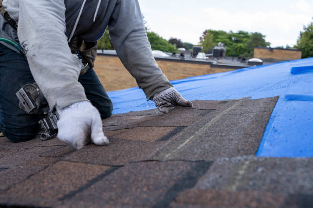 Best Metal Roofing Installation  in Eagle, CO